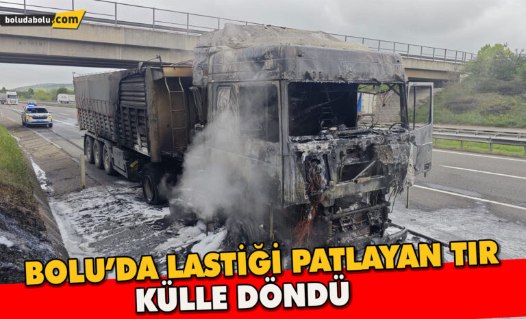 Lastiği patlayarak alev alan tır küle döndü