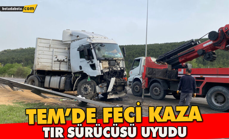 TEM’de sürücüsünün uyuduğu iddia edilen buğday yüklü tır devrildi