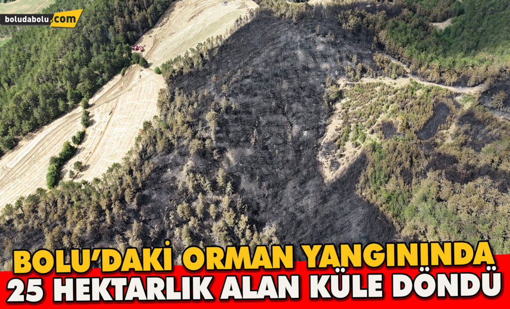 Bolu’daki orman yangınında 25 hektarlık alan küle döndü Bolu’daki orman yangınında 25 hektarlık alan küle döndü