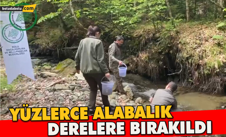 Yüzlerce alabalık derelere salındı