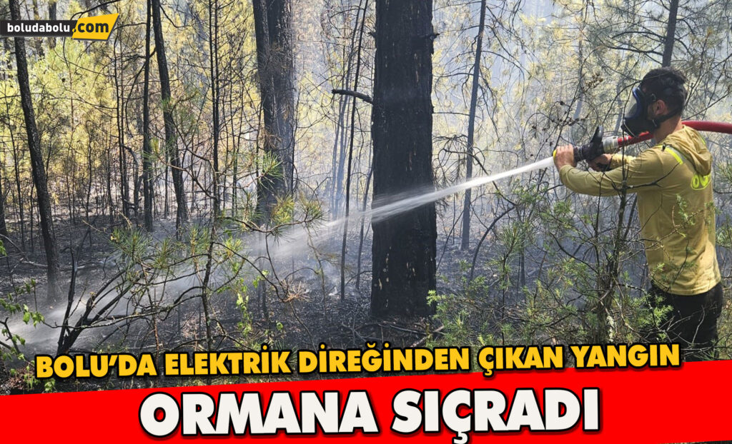 Bolu’da ormanlık alanda örtü yangını faciaya dönüşmeden söndürüldü