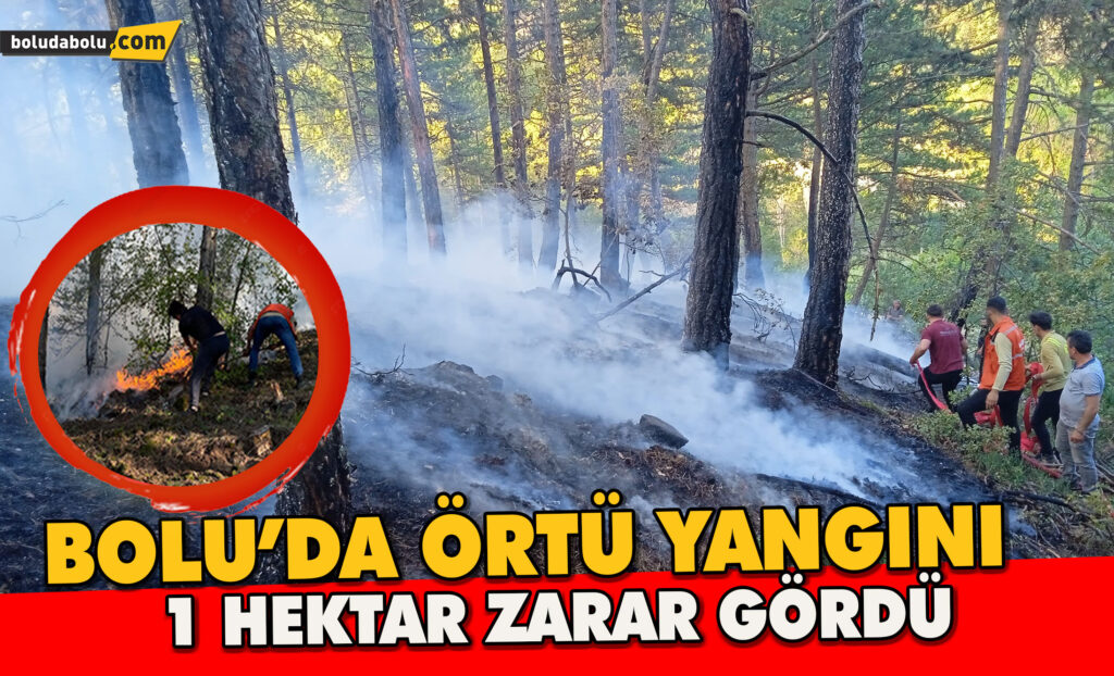 Bolu’da örtü yangını: 1 hektar zarar gördü