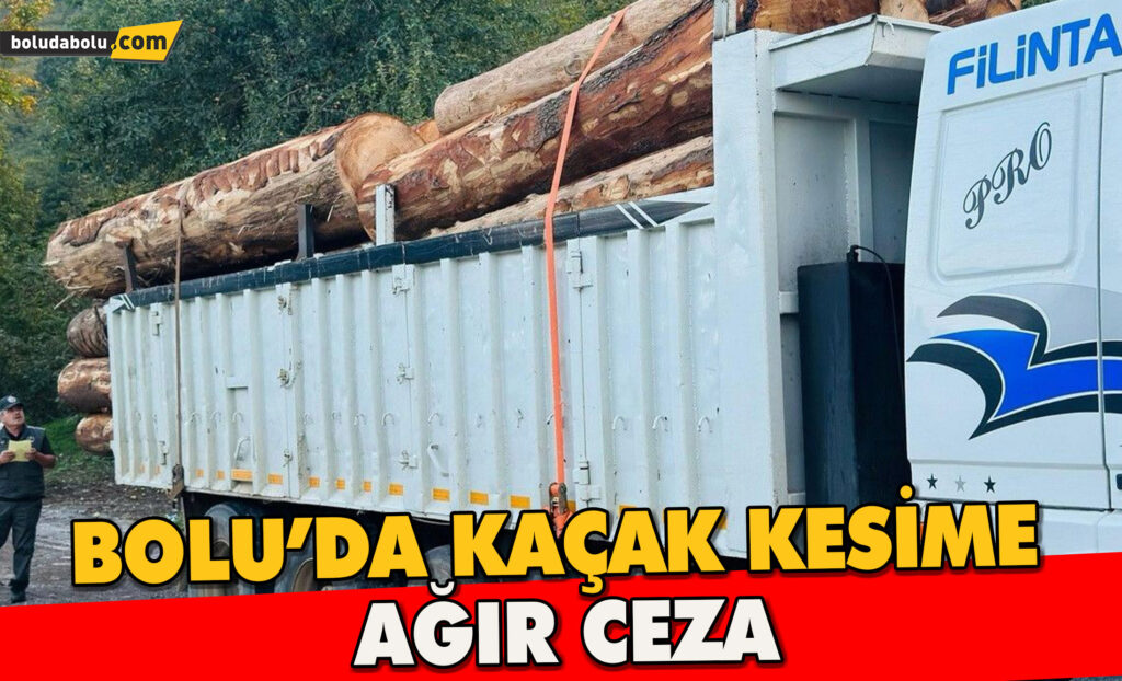 Kaçak ağaç kıyımına ağır ceza Kaçak ağaç kıyımına ağır ceza