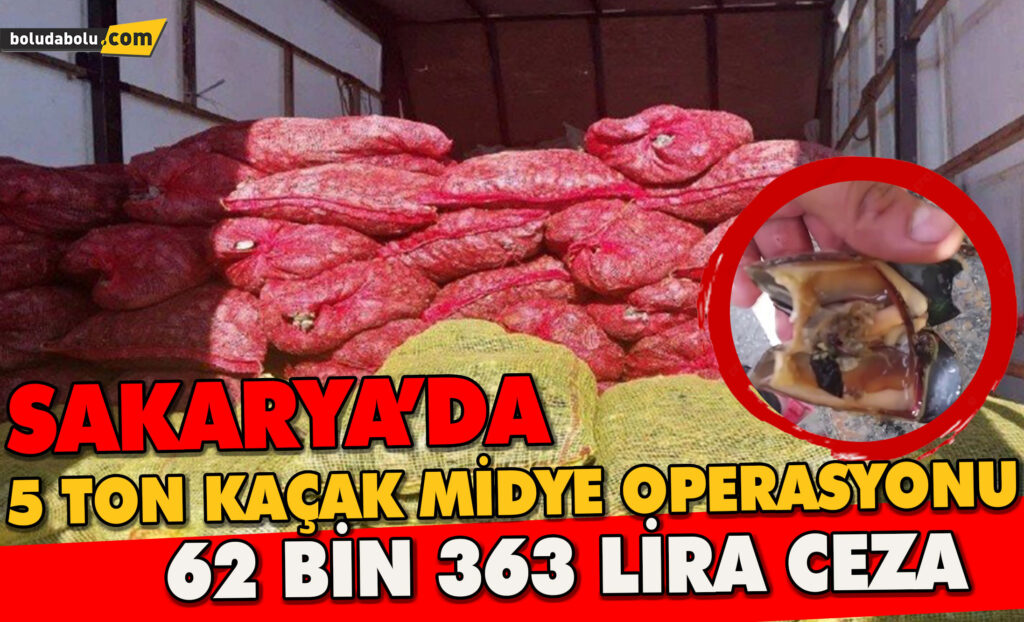 SAKARYA’DA 5 TON KAÇAK MİDYE YAKALANDI SAKARYA’DA 5 TON KAÇAK MİDYE YAKALANDI