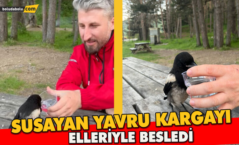 Yavru kargaya bardakla su verdiler, elleriyle beslediler