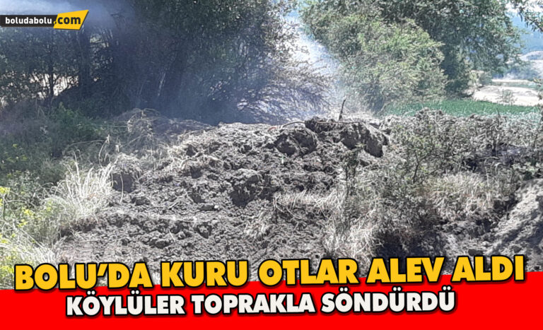 Kuru otlar alev aldı, köylüler toprakla söndürdü
