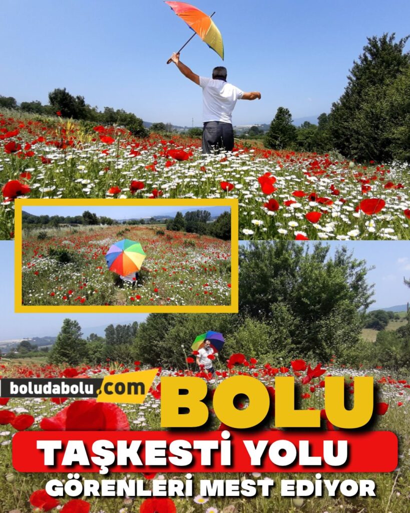 BOLU Taşkesti Yolu Görenleri Mest Ediyor