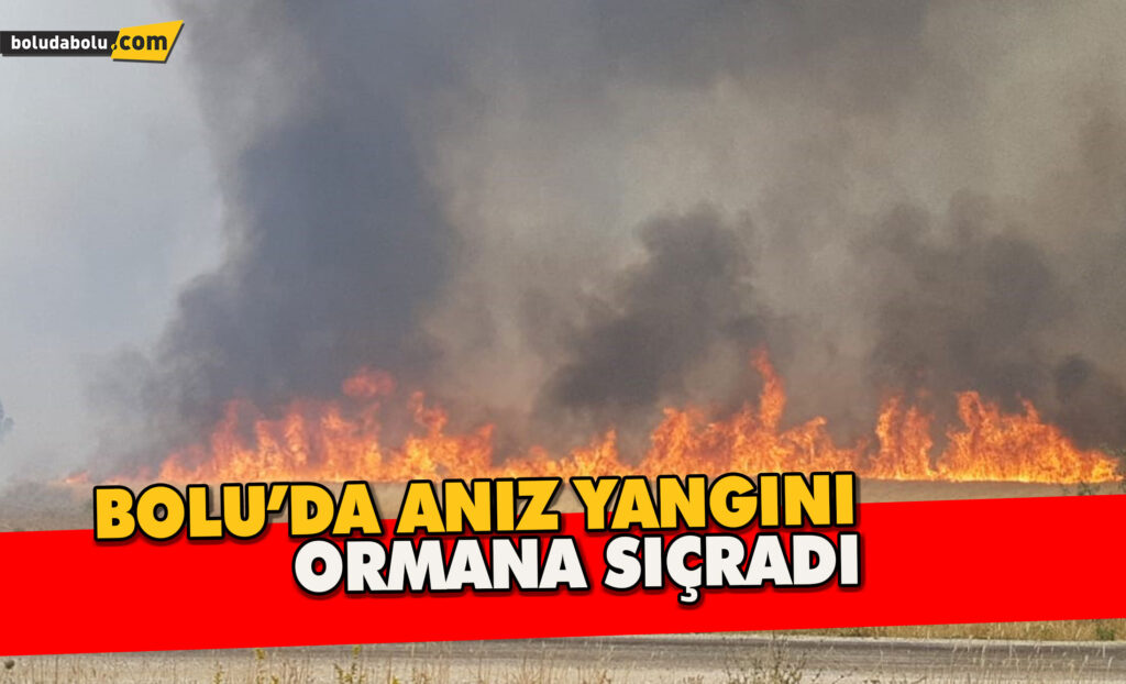 Bolu’da anız yangını ormana sıçradı Bolu’da anız yangını ormana sıçradı