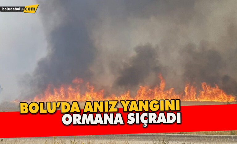 Bolu’da anız yangını ormana sıçradı