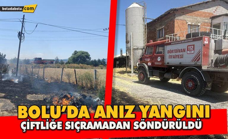 Bolu’da Anız Yangını Çiftliğe Sıçramadan Söndürüldü