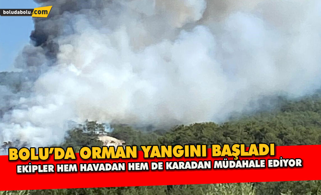 Bolu’da Orman Yangını Başladı Bolu’da Orman Yangını Başladı