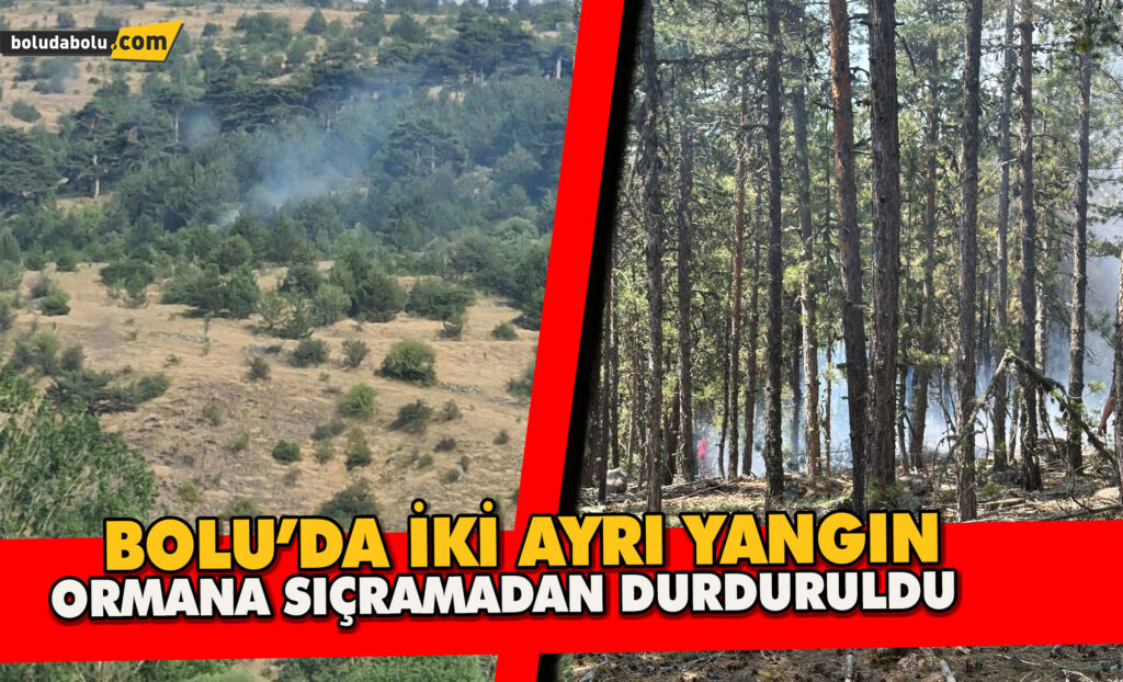 Bolu’da İki Ayrı Yangın Ormana Sıçramadan Durduruldu Bolu’da İki Ayrı Yangın Ormana Sıçramadan Durduruldu