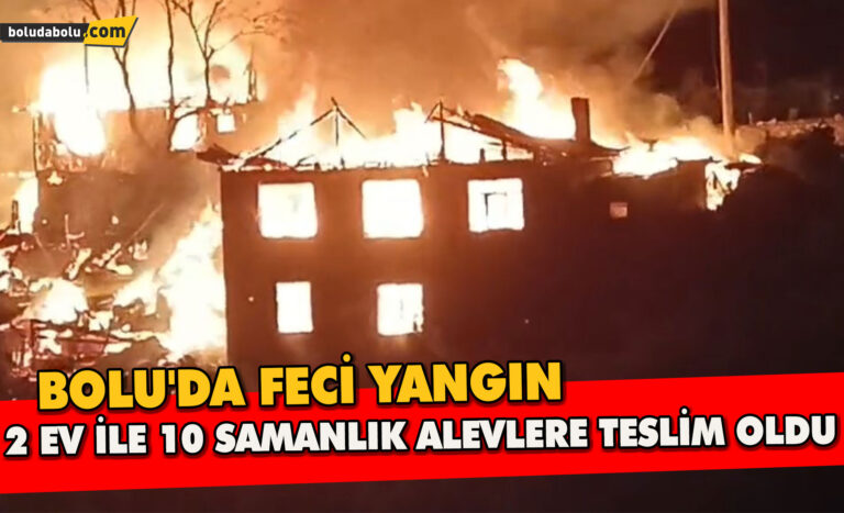 Bolu’da feci yangın: 2 ev ile 10 samanlık alevlere teslim oldu
