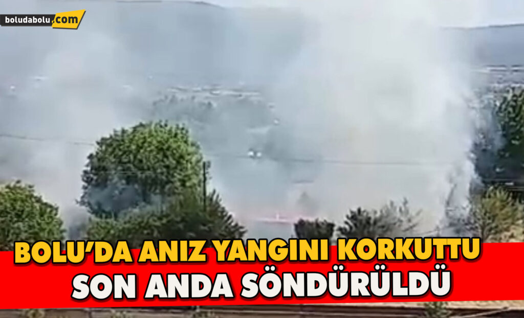 Bolu’da anız yangını korkuttu son anda söndürüldü