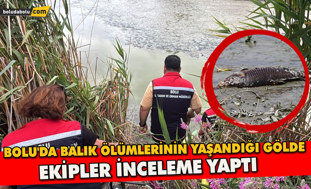 Bolu’da balık ölümlerinin yaşandığı gölde ekipler inceleme yaptı Bolu’da balık ölümlerinin yaşandığı gölde ekipler inceleme yaptı