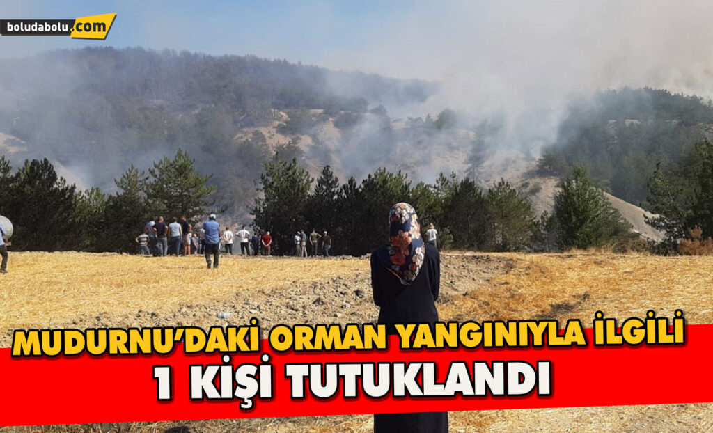 Mudurnu’daki orman yangınıyla ilgili 1 kişi tutuklandı Mudurnu’daki orman yangınıyla ilgili 1 kişi tutuklandı