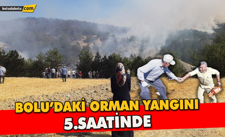 Bolu’daki orman yangını 5.saatinde