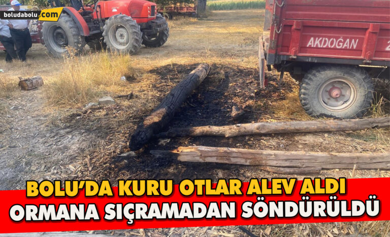 Bolu’da Kuru Otlar Alev Aldı: Ormana Sıçramadan Söndürüldü: