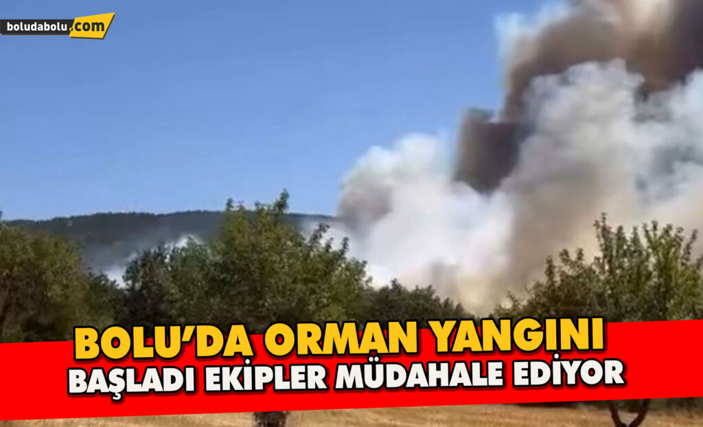 Bolu’da orman yangını başladı. Ekipler Müdahale Ediyor Bolu’da orman yangını başladı. Ekipler Müdahale Ediyor