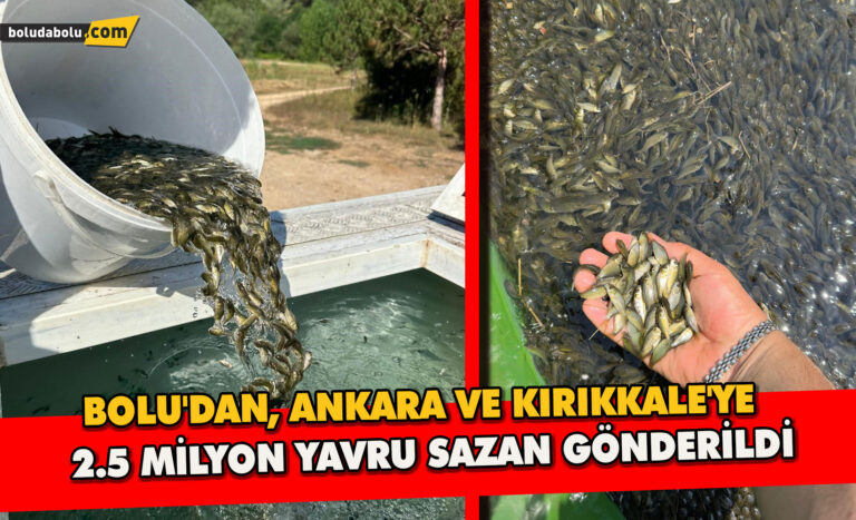 Bolu’dan, Ankara ve Kırıkkale’ye 2.5 milyon yavru sazan gönderildi